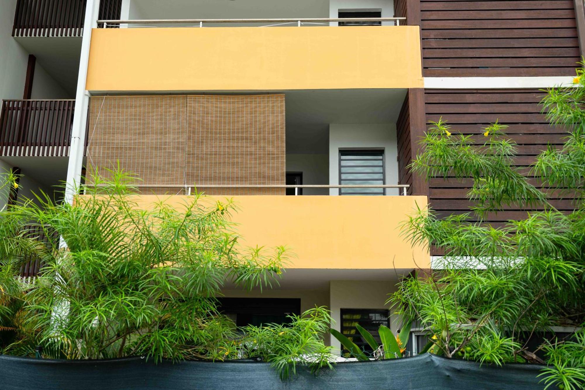 Ferienwohnung Hibiscus Standing- T3 meublé Cosy Cayenne Exterior foto